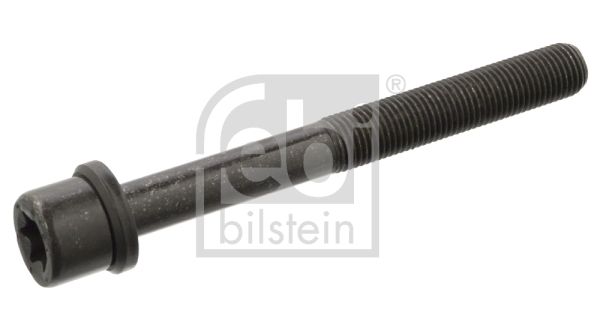 FEBI BILSTEIN Болт головки цилиндра 06543